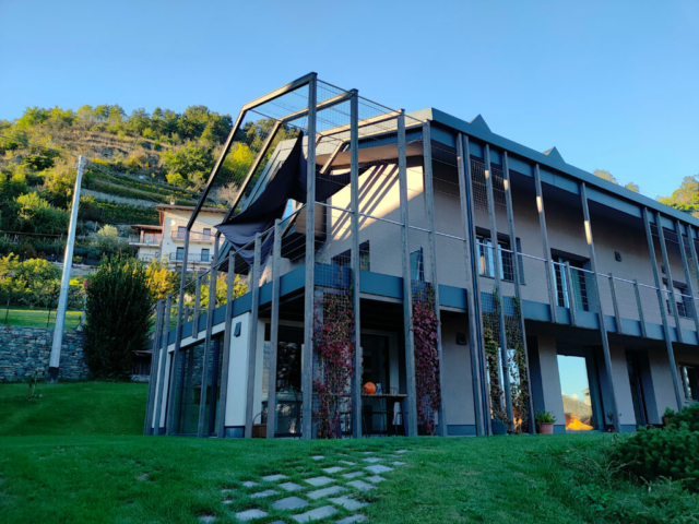 pergola rampicante